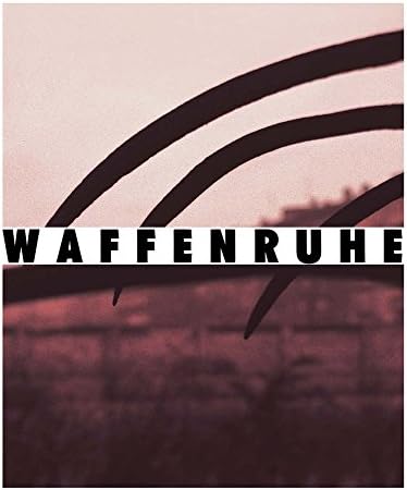 Michael Schmidt: Waffenruhe