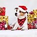 Malier Christmas Dog Bandana and Collar Set Plaid Pattern Dog Scarf Triangle Bibs Kerchief Adjustable Collars with Bow Tie Pet Costume Accessories Decoration for Cats Dogs Pets – Mediumthumb 1