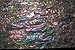 Prism Abalone Wide Enhanced Adhesive Veneer Sheet