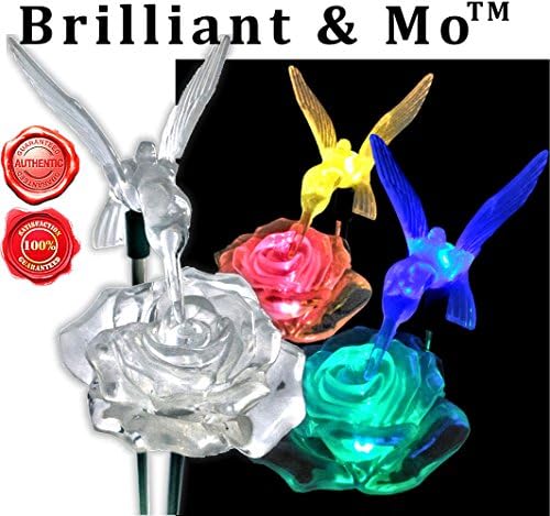 Brilliant &amp; Mo Stunning 2 Solar Rose Lights with 2 Solar Hummingbird Lights Garden Stakes For Home Patio Deck Lawn Yard Decor