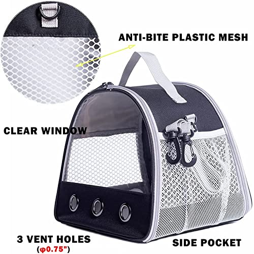 View 4