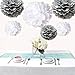 Saitec ® 12PCS Mixed Sizes White & Silver Tissue Paper Pom Poms Pompoms Wedding Birthday Party Decoration Holiday Supplies