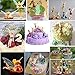 WAREHOUSEDEALS Tinkerbell Fairy Princess PVC Figures Birthday 6pcs Cake Topper Figurine Miniature Garden Decor Toys