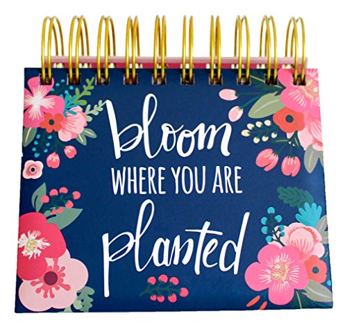 bloom daily planners Undated Perpetual Desk Easel / Inspirational Standing Flip Calendar - (5.25