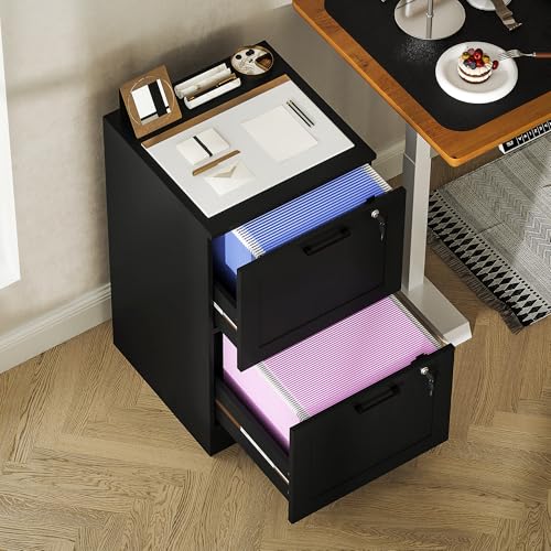 HOMCOM 2 Drawer File Cabinet with Lock, Vertical Filing Cabinet with Adjustable Hanging Bars for A4 and Letter Size File Folders, Printer Stand with Storage for Home Office, Black