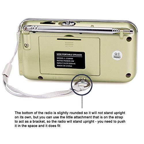 TIVDIO-L-218-Portable-AMFM-Transistor-Radio-with-Mp3-Music-Player-Speaker-Support-Micro-IF-Card-Gold