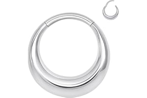 ALACLO 316L Stainless Steel Septum Rings Hoop for Women, 16G 8mm/10mm Stainless Steel Segment Nose Rings for Men, Cartilage Clicker Hoop Earrings for Rook, Daith, Tragus, Hypoallergenic