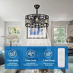 SUNVIE Caged Ceiling Fan with Lights Remote Control