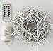 echosari 100ft/30m Warm White 300 LED Outdoor & Indoor Battery Fairy Lights w/Remote & Timer, Waterproof (8 Modes, 4 x AA Batteries, Dimmable, Clear Cable)