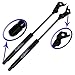 Two Front Hood Gas Charged Lift Supports With 2 Upgraded Studs For 1992-1996 Lexus ES300, 1991-1996 Toyota Camry. Left and Right Side. WGS-270-271