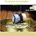Abbott 10-Years Purity 60:1 Ratio 54 Rolls Sticks Pure Moxibustion + 1 Copper Portable Smokeless Mugwort Moxibustion Moxa Box Round Shape Burner Set X'Mas Gift/Dad's/Mom's Gift