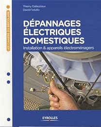 Dépannages électriques domestiques
