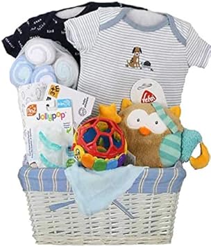 amazon new baby gift basket