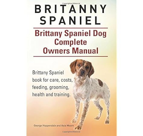 brittany spaniel training