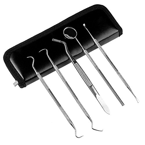 Dental Tools, Zeiger Stainless Steel Dental Hygienist Pick Tooth