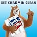 Charmin Ultra Strong Toilet Paper, 6 Mega Rolls Packaging May Vary