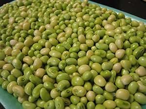 Lady Cream pea AKA: Lady Finger Pea, Rice Pea, Catjang Pea Southern Peas