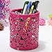 RICISUNG Hollow Rose Flower Pattern Cylinder Pen Pencil Pot Holder Container Organizer