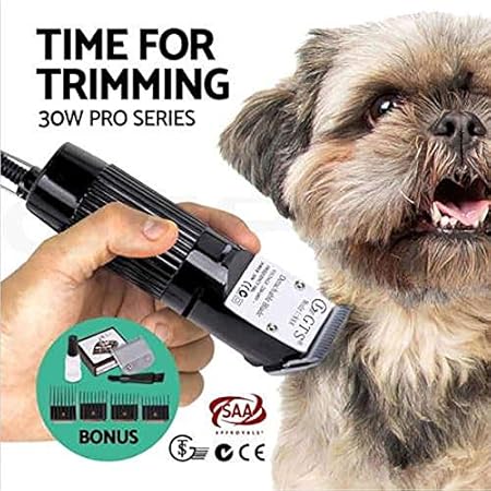 gts electric clipper