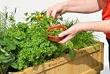 VegTrug 8 Pocket Herb Planter Natural – Raised Bed for Herbs view 12