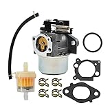 Labwork 799248 Carburetor For Briggs & Stratton 594287 799248 Thermostat Choke
