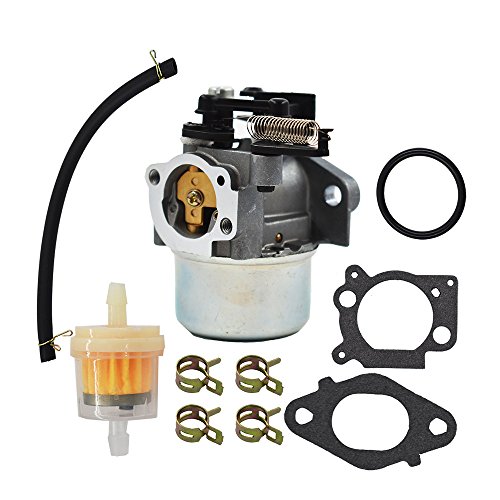 Labwork 799248 Carburetor For Briggs & Stratton 594287 799248 Thermostat Choke