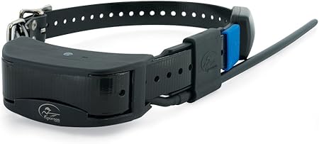 gps dog training collar