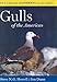 Peterson Reference Guides to Gulls of the Americas