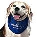 The Dog's Right! Dog Cooling Collar Bandana (Size 14 to 16 inches, Adjustable for Medium Sized Dogs)