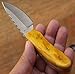 Limited Edition Bone Collector Hand Made Skinning-Hunting Knife [BC853]