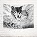 HVEST Wolf Tapestry Wild Predator Wolves Standing on Cliff Wall Hanging Animal Tapestries for Bedroom Living Room Dorm Wall Decor,60 W x 40 H inches