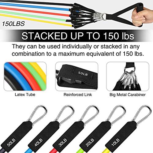 big 5 exercise bands