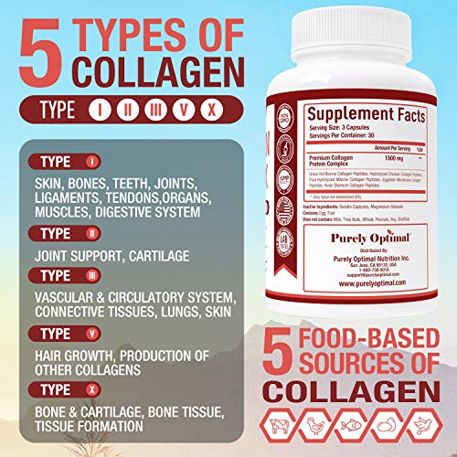 Purely Optimal Premium Multi Collagen Peptides Capsules (Types I, II, III, V, X) Hair, Skin