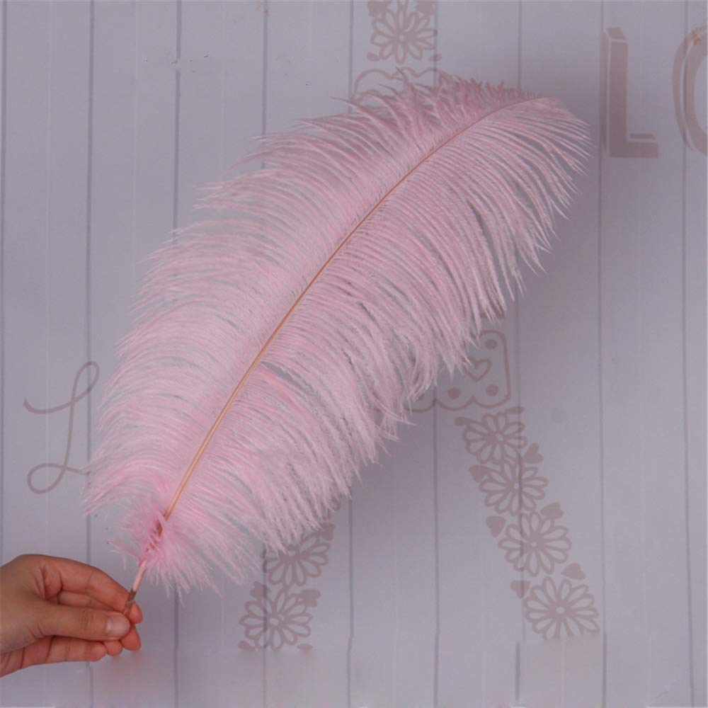 Dyed Large Ostrich Feathers Plume DIY Wedding Party Table Christmas Carnival Decorations Centerpiece Millinery 16-18" / 40-45 cm length (Pale Pink, 5 Piece)