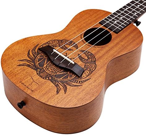 Eastun 12 Constellation Concert Ukulele 23Inch Mahogany Beginner Kit (Wipe cloth Nylon String Tuner Gig Bag Straps Picks) (Cancer)