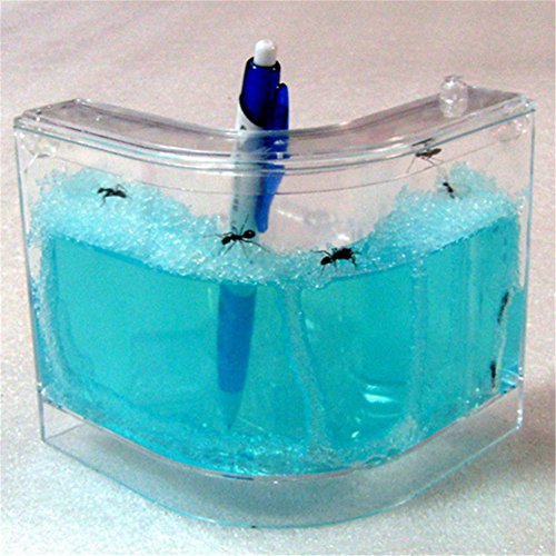 BleuMoo Advanced Ant Nursery Farm Maze Blue Gel Live Ant Habitat With Feeding