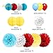 NICROLANDEE Carnival Party Supplies Birthday Balloon Tissue Paper Flowers Pom Poms Honeycomb Ball Circle Dots Hanging Garland Banner for Circus Baby Shower Clown Backdrop Beach Kids Party Decorations