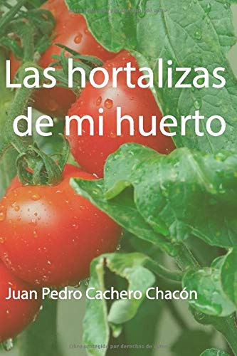 Las hortalizas de mi huerto: Amazon.es: Cachero Chacón, Juan Pedro ...