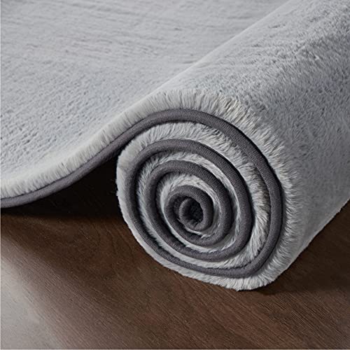 Bedsure Faux Fur Area Rug - Soft Fluffy Fuzzy Rug 2x3 for Bedroom, Grey Shag Rugs Non Slip, Furry Throw Rugs for Living Room, Home Decor for Girls Kids Teen Nursery Dorm Room