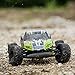 ECX AMP MT 1:10 2WD Monster Truck: Black/Green RTR