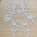 1 Pair Off-White Gold Fringe Lace Applique Motif Flower Embroidery Wedding Sewing Applique with Sequined Mirror Pair Bridal Lace Patch for Dress Gown