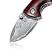 KUBEY Mini Folding Knife, Compact EDC and Gentleman's Pocket Knife with Wooden Handle for Camping Hunting and DIY (DM096)