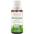 Amrita Aromatherapy Ravintsara (Cinnamomum camphora) Essential Oil, 100% Pure Undiluted Cinnamomum Camphora, Premium Aromatherapy Oil, Tested and Verified, USDA Organic, 10ml