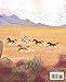 Wild Horse Annie: Friend of the Mustangs