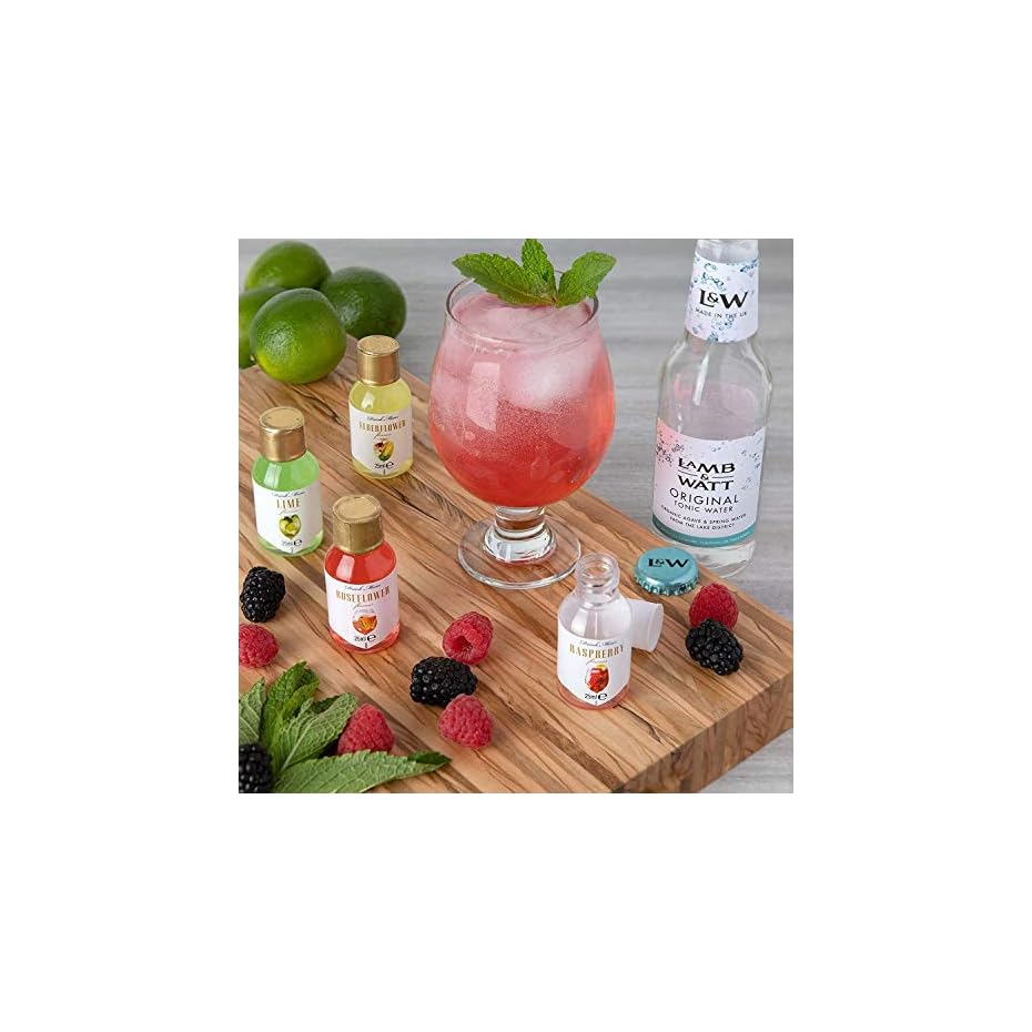 Modern Gourmet Foods Gin & Tonic CocktailMix Set GeschenkSet Mit
