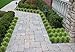 Artificial Plants Faux Plastic Wheat Grass Fake Leaves Shubs Outdoor Window Box Wholesale Greenery Bushes Indoor Outside Home Garden Light Green Verandah Office Wedding Decor UV resistant- 4 PCS