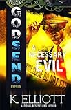 Godsend: A Necessary Evil (Godsend Series Book 1)