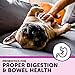 Smartypaws Dog Supplements- Glucosamine & Chondroitin + MSM For Joint Support, Fish Oil Omega 3 (Epa & Dha), Probiotics, Organic Turmeric: Senior Small Breed - By Smartypants Vitamins - 60 Ct