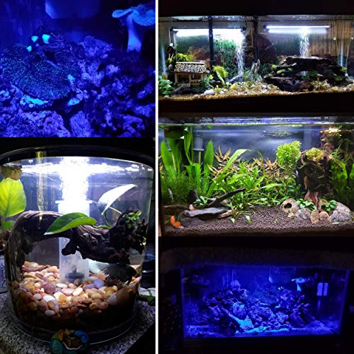 MingDak Submersible LED Aquarium Light,Fish Tank Light with Timer Auto On/Off, White & Blue LED Light bar Stick for Fish Tank, 3 Light Modes Dimmable,11W,18.5 Inch - Thumbnail 6
