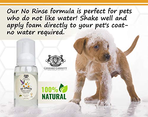 Aromatherapy Shampoo & Conditioner for Pets Dog Shampoo, Medicated Oatmeal Dog Shampoo & Pet Odor Eliminator (No Rinse - Lavender & Chamomile)